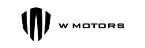 wmotors